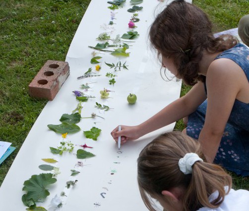 Bioblitz  (3 of 8).jpg